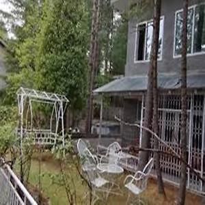 Pinetree Resort Nathiagali Nathia Gali Esterno foto